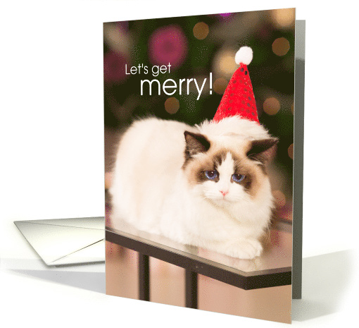Funny Cute Christmas Grumpy Cat with Santa Hat Lets Get Merry card