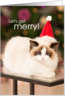 Funny Cute Christmas Grumpy Cat with Santa Hat Lets Get Merry card