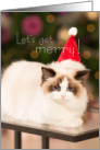Funny Cute Christmas Grumpy Cat with Santa Hat Lets Get Merry card