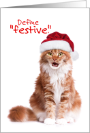 Funny Define Festive Christmas Cat with Attitude card