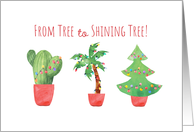 Christmas From Tree to Shining Tree with Cactus Palm and Pine card
