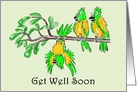 Get Well Cartoon Style Parrots card