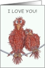 Cartoon Bird Couple in Love Birthday for Partner card