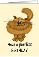 Birthday Cartoon Style Fluffy Cat card