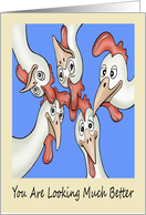 Get Well Cartoon Caricatures of Chickens card