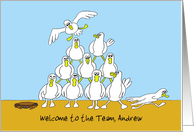 Welcome to the Team, Caricatures of Pyramid of Seagulls card
