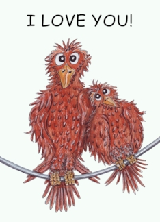 Cartoon Bird Couple...