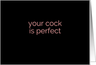 Your Cock is Perfect...