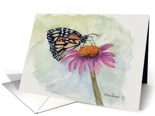 Butterfly on a Pink Daisy. card (1520606)