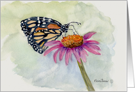 Butterfly on a Pink Daisy. card