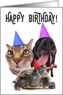 Happy Birthday Party Animal card