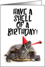 Have a Shell of a Birthday Turtle card