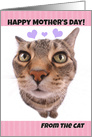 Happy Mother’s Day From The Cat card