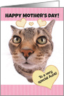 Funny Cat Happy Mother’s Day to a Very Special Aunt card