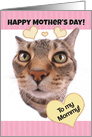 Funny Cat Happy Mother’s Day to My Mommy card