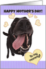 Funny Dog Happy Mother’s Day to My Mommy card