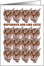 Birthdays Are Like Cats You Can Never Have Too Many card