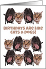 Birthdays Are Like Cats and Dogs You Can Never Have Too Many card