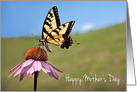 Happy Mother’s Day Butterfly and Flower card