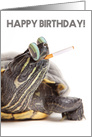 Happy Birthday You Rebel Smoking Turtle card