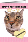 Happy Mother’s Day Stepmother Cute Cat card