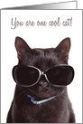Cool Cat Happy Purr-thday Birthday Humor card