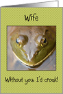 I’d Croak Without You Wife Frog Happy Anniversary card