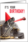 Turtle-y Awesome Happy Birthday card
