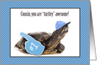 Turtley Awesome Happy Birthday Cousin card