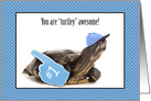 Turtley Awesome Happy Birthday For Anyone card