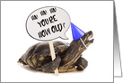 Turtle Happy Birthday Humor card