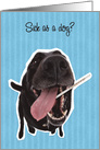 Sick as a Dog Get Well Soon card