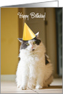 Humorous Cat Happy Birthday, Where’s the Cake? card