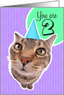 Happy Second Birthday Kitty Cat card