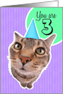 Happy Third Birthday Kitty Cat card