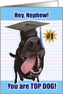 Congratulations Nephew Graduate You Are Top Dog card