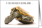 I’m Here For You Upside Down Turtle Encouragement card