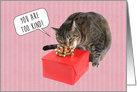 Thank You for the Gift Cute Cat Opening Present card