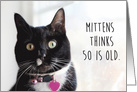 Happy Birthday Humor Cat Thinks 50 is Old card