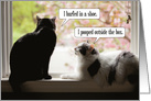 Happy Birthday Funny Cat Conversation card