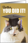 You DId it Brother Graduation Cute Cat in a Grad Cap card