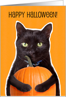 Happy Halloween Black Cat Holding Pumpkin card