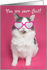 Happy Birthday You are Purr-fect Cat in Glasses Humor card