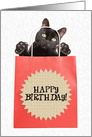 Happy Birthday Cat in a Bag Humor card