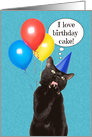 Happy Birthday I Love Birthday Cake Cat Humor card