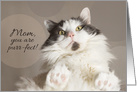 Happy Birthday Mom You Are Purr-fect Cat Humor card