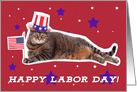 Happy Labor Day Patriotic Kitty Cat Humor card