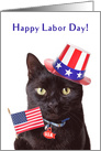 Happy Labor Day Patriotic Cat Humor card