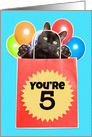 Happy 5th Birthday Cat’s Out of the Bag Humor card