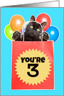 Happy 3rd Birthday Cat’s Out of the Bag Humor card